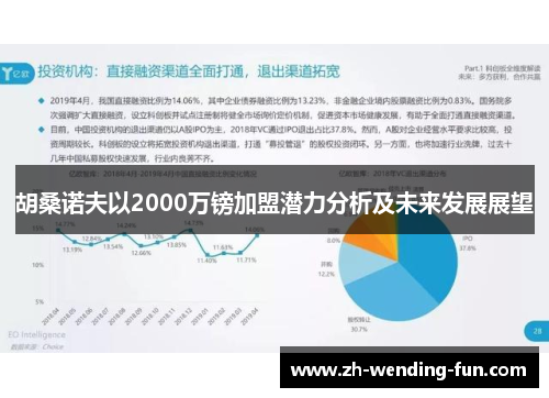 胡桑诺夫以2000万镑加盟潜力分析及未来发展展望