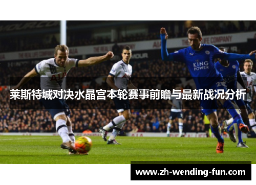莱斯特城对决水晶宫本轮赛事前瞻与最新战况分析
