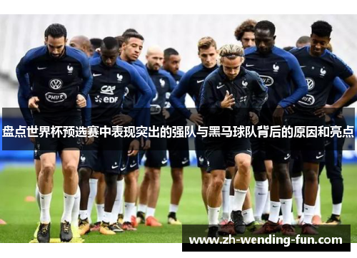 盘点世界杯预选赛中表现突出的强队与黑马球队背后的原因和亮点 盘点世界杯预选赛中表现突出的强队与黑马球队背后的原因和亮点